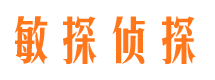 紫金市侦探公司